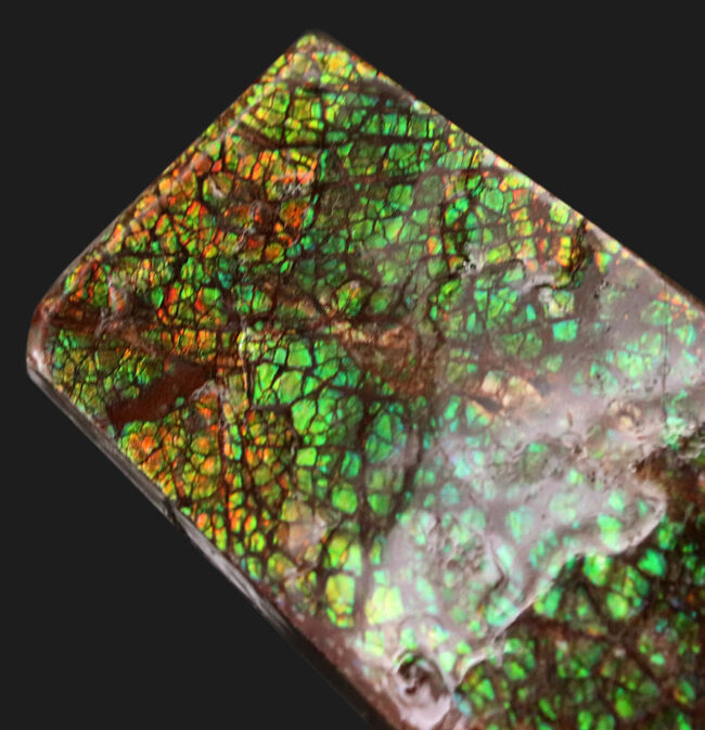 宝石アンモライト（Ammolite）、鮮やかなグリーン、ドラゴンスキン、大型標本と、三拍子揃ったコレクティブアイテム（その1）