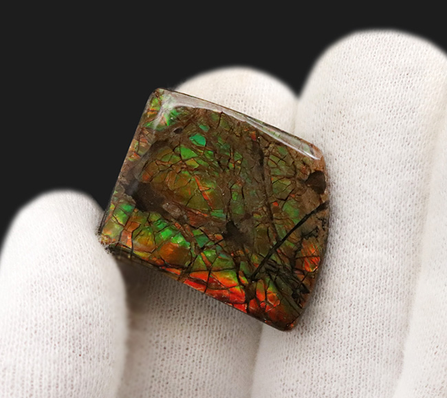 美しい！オレンジ、グリーンのほか、様々な中間色を呈する、非常に美しいアンモライト（Ammolite）のピース（その2）