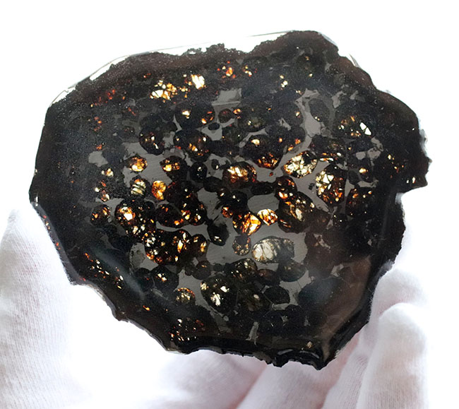 黄金色を呈する美しきかんらん石を御覧ください！2016年にケニアで発見された新しいパラサイト隕石（本体防錆処理済み） 隕石 販売