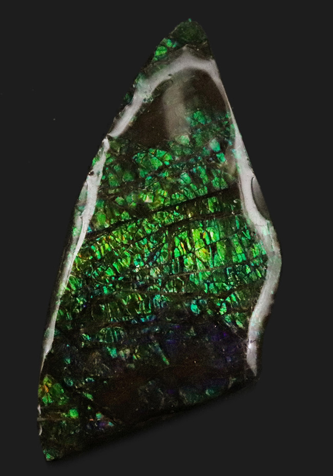 グリーンドラゴン！非常に鮮やかなエメラルドグリーンを呈する、宝石、アンモライト（Ammolite）のピース（その1）