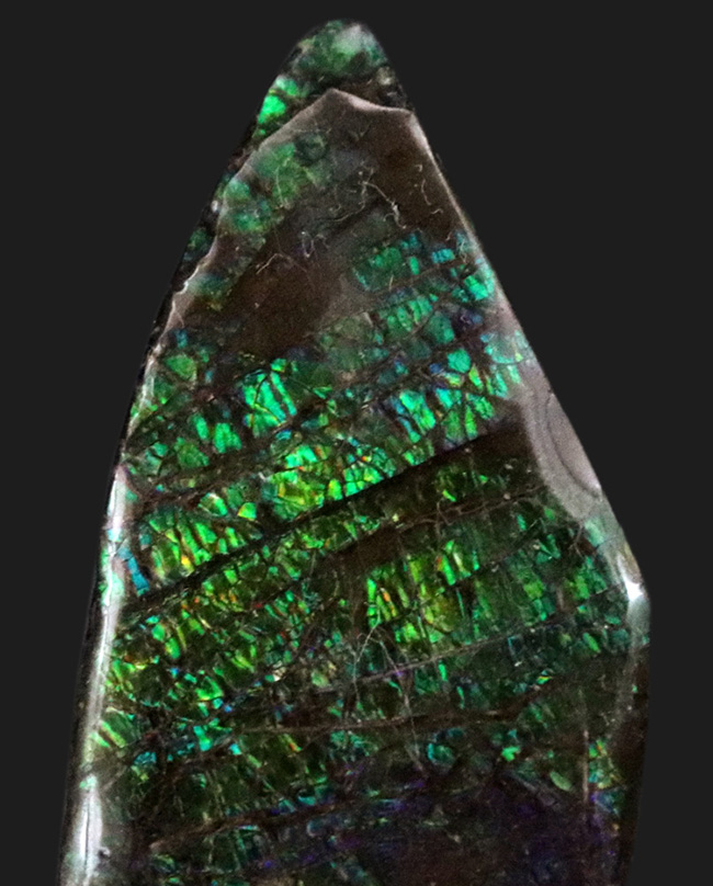 グリーンドラゴン！非常に鮮やかなエメラルドグリーンを呈する、宝石、アンモライト（Ammolite）のピース（その2）