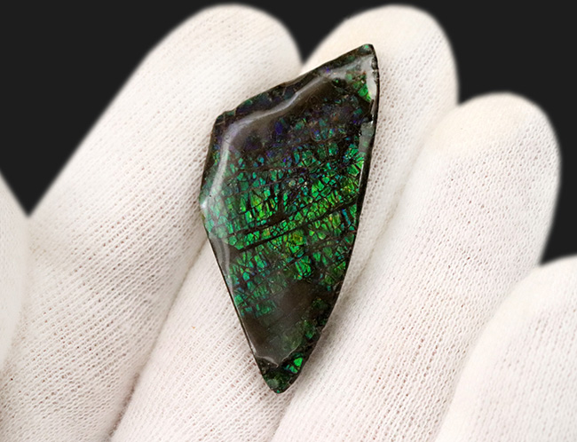 グリーンドラゴン！非常に鮮やかなエメラルドグリーンを呈する、宝石、アンモライト（Ammolite）のピース（その3）