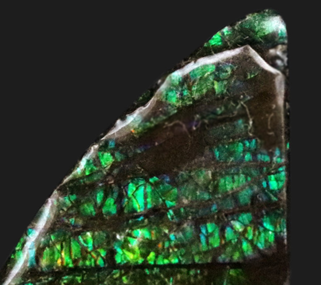 グリーンドラゴン！非常に鮮やかなエメラルドグリーンを呈する、宝石、アンモライト（Ammolite）のピース（その4）