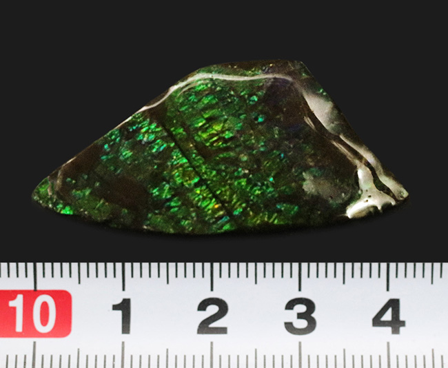 グリーンドラゴン！非常に鮮やかなエメラルドグリーンを呈する、宝石、アンモライト（Ammolite）のピース（その7）