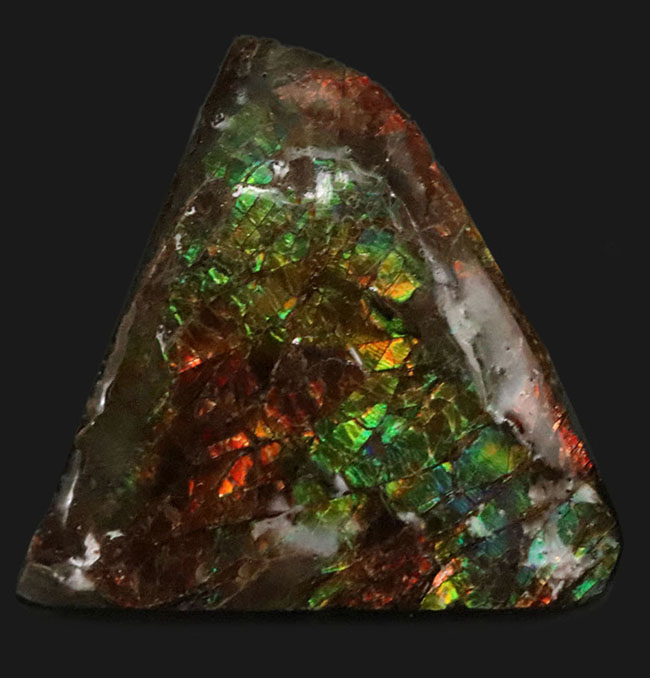 カナダ・アルバータ州の公式の宝石として知られる、アンモライト（Ammolite）の三角形のピース（その1）