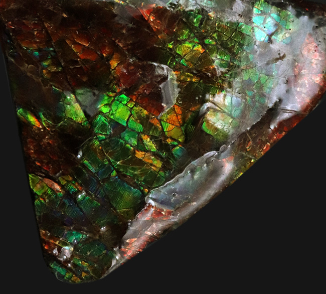 カナダ・アルバータ州の公式の宝石として知られる、アンモライト（Ammolite）の三角形のピース（その2）