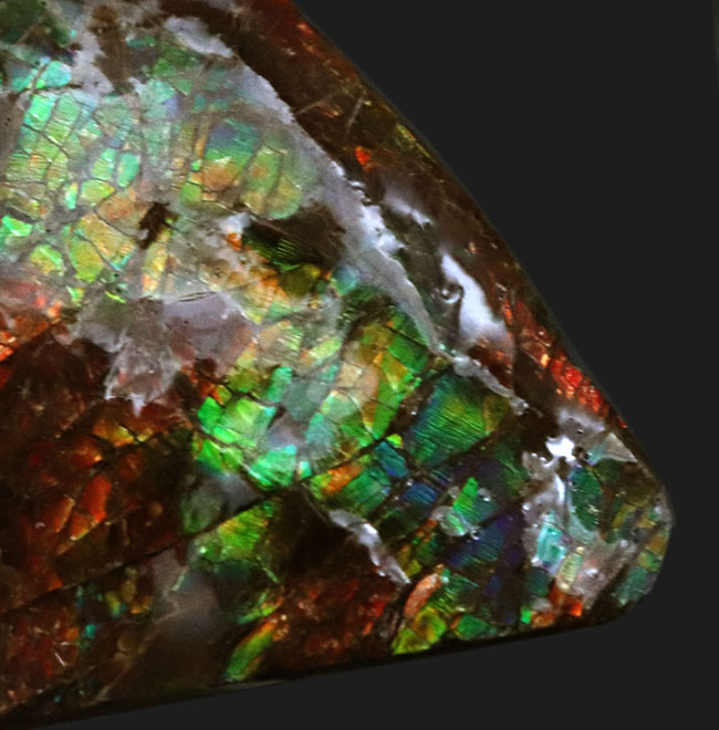 カナダ・アルバータ州の公式の宝石として知られる、アンモライト（Ammolite）の三角形のピース（その4）