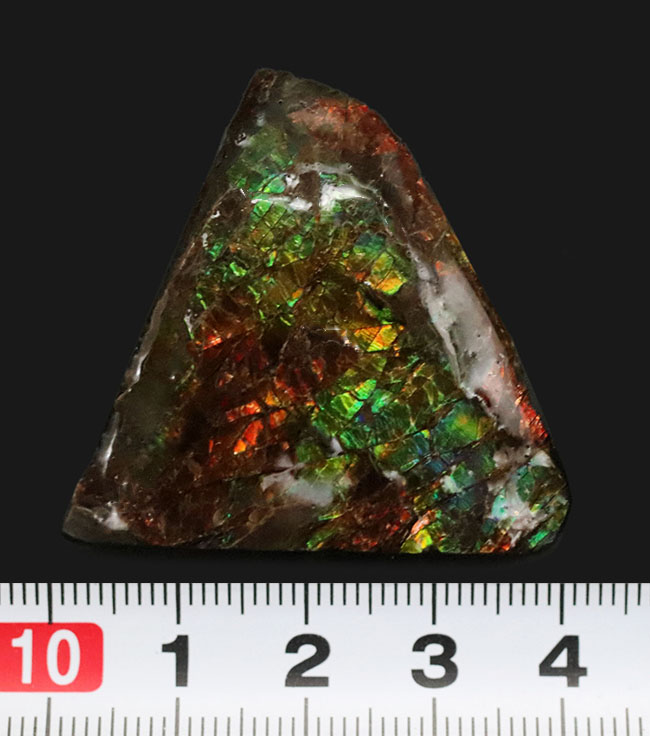 カナダ・アルバータ州の公式の宝石として知られる、アンモライト（Ammolite）の三角形のピース アンモライト 販売