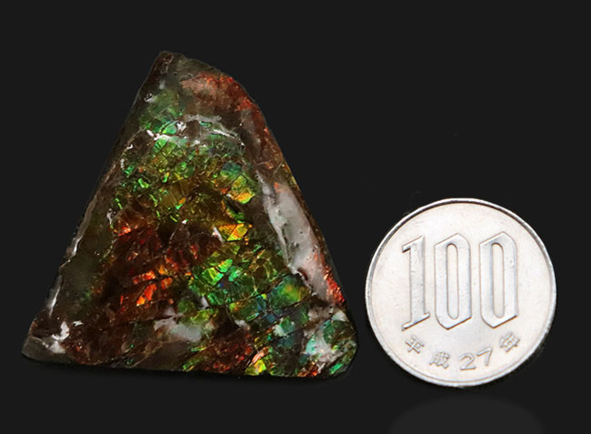 カナダ・アルバータ州の公式の宝石として知られる、アンモライト（Ammolite）の三角形のピース（その8）