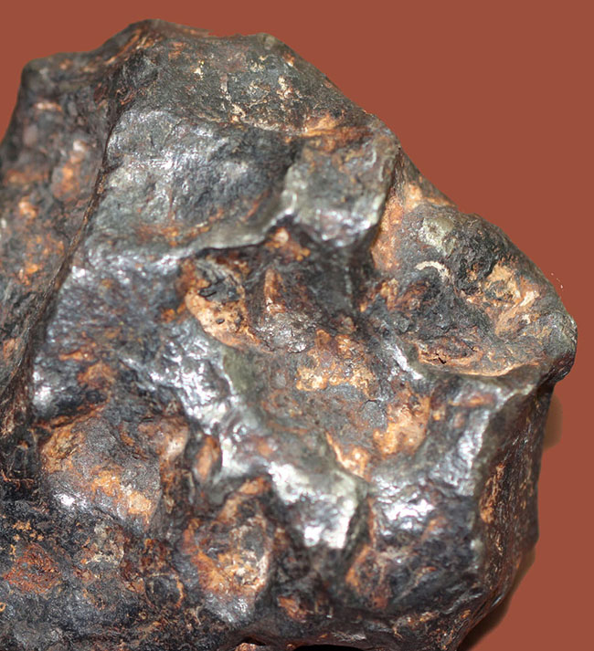 鉄隕石（Iron Meteorite）をコレクションしたい人に朗報！落下地点、落下年不詳ゆえ、お値打ち価格でのご紹介。