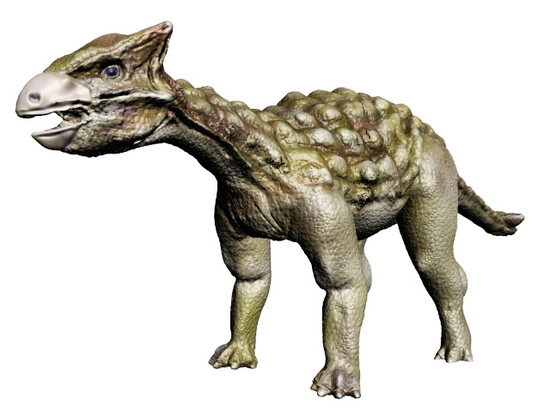 アンキロサウルスの装甲化石