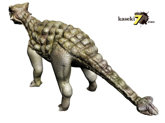 化石恐竜 アンキロサウルスの装甲化石 約60mm - www.glchs.on.ca
