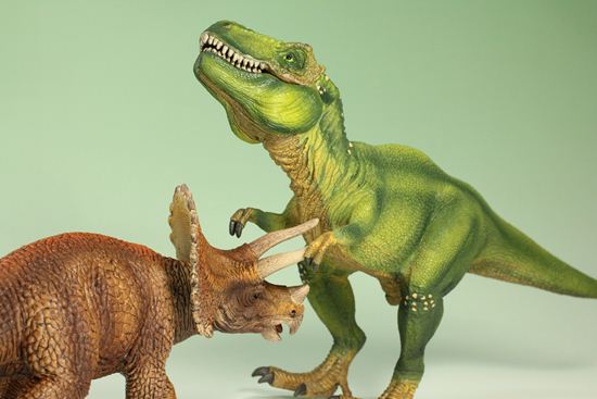 ティラノサウルスとトリケラトプス恐竜フィギュア2体セット 本物化石1個付き 教育用グッズ 販売