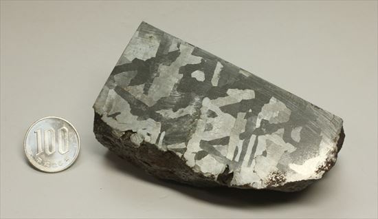 鉄隕石の代表格、中身丸見えの隕石カンポ・デル・シエロ(Campo del