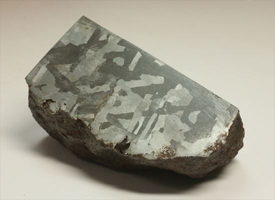 鉄隕石の代表格、中身丸見えの隕石カンポ・デル・シエロ(Campo del