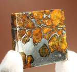 一度見たら心を奪われる、最も希少な石鉄隕石の一つ、隕石