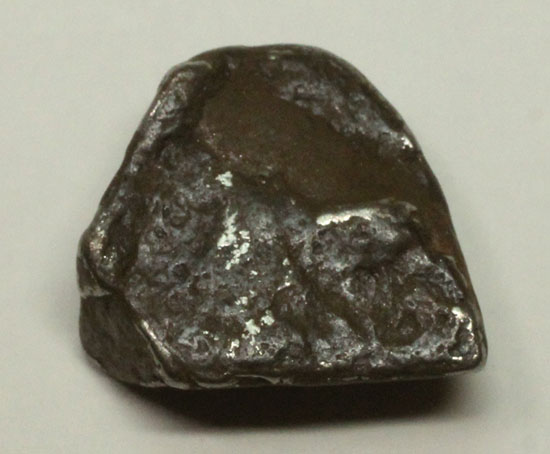 ナミビアで発見されたギベオン隕石(Gibeon meteorite) 隕石 販売