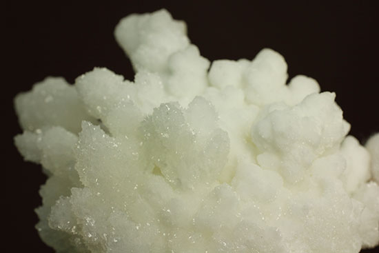 ホワイトでキラキラ！山サンゴこと、メキシコ産の鉱物霰（あられ）石(Aragonite)