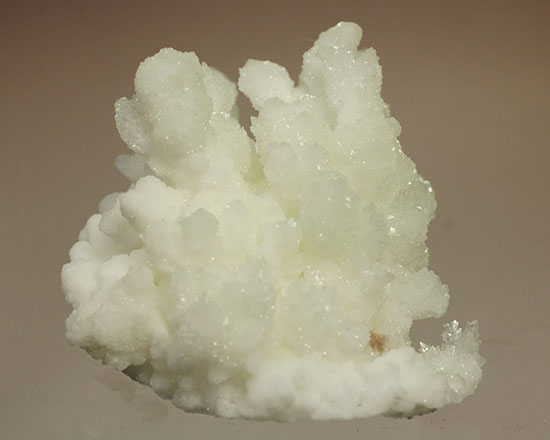 ホワイトでキラキラ！山サンゴこと、メキシコ産の鉱物霰（あられ）石(Aragonite) 鉱物 販売