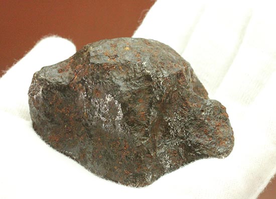 期間限定キャンペーン カンポデルシエロ 隕石 324g ⭐︎ 迷彩柄 希少