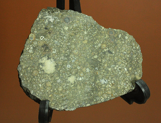 これぞロマンの塊！太陽系最古の物質でもある、アエンデ隕石のスライス標本。