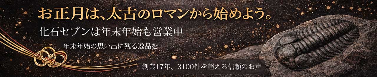 化石販売の化石セブン