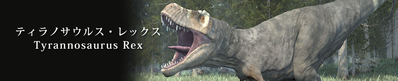 ティラノサウルスの足の節骨 ティラノサウルス科 販売